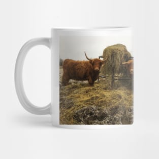 Scottish Highland Cattle Cows 2176 Mug